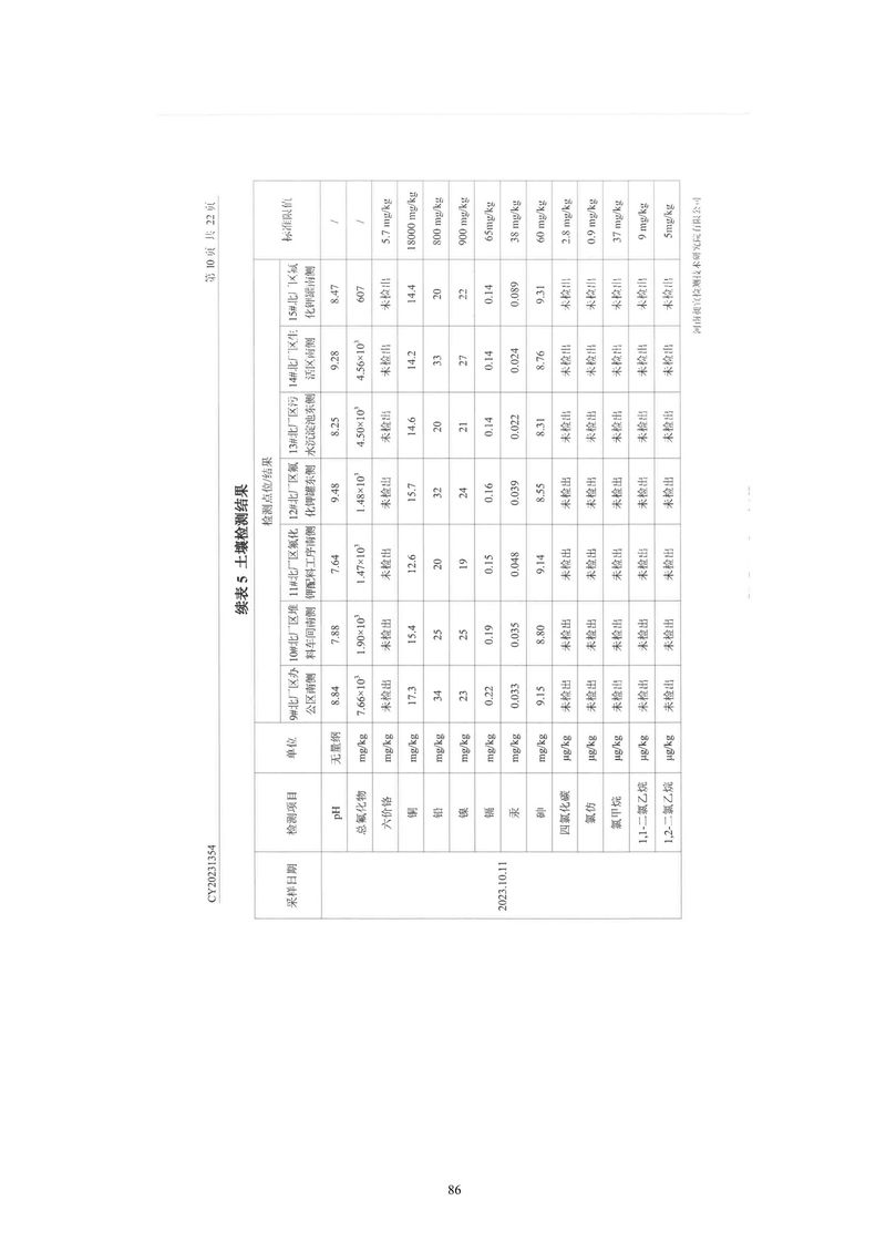 黃河精細(xì)化工有限公司檢測報告(1)-11